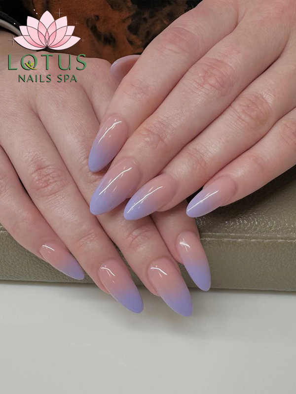 Lotus Nails Spa